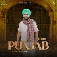 Punjab Ravinder Grewal mp3 song download, Punjab Ravinder Grewal full album