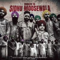 Tribute To Sidhu Moosewala Emiway Bantai, Sidhu Moosewala mp3 song download, Tribute To Sidhu Moosewala Emiway Bantai, Sidhu Moosewala full album