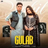 Gulab Sahil Mehrok mp3 song download, Gulab Sahil Mehrok full album