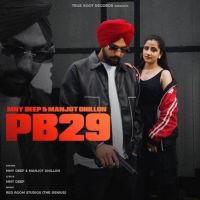 PB29 Mny Deep, Manjot Dhillon mp3 song download, PB29 Mny Deep, Manjot Dhillon full album
