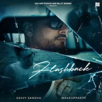 Flashback Savvy Sandhu mp3 song download, Flashback Savvy Sandhu full album