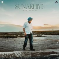 Sunakhiye Ekam Sudhar mp3 song download, Sunakhiye Ekam Sudhar full album