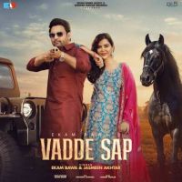 Vadde Sap Ekam Bawa mp3 song download, Vadde Sap Ekam Bawa full album