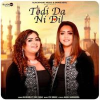 Todi Da Ni Dil Hashmat Sultana mp3 song download, Todi Da Ni Dil Hashmat Sultana full album