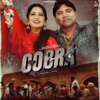 Cobra Balkar Ankhila mp3 song download, Cobra Balkar Ankhila full album