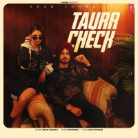 Taurr Check Ekam Chanoli mp3 song download, Taurr Check Ekam Chanoli full album