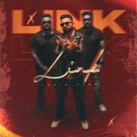 Link Lovie Virk mp3 song download, Link Lovie Virk full album