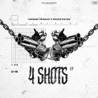 DWC (Dont Worry Chick) Tarsem Jassar mp3 song download, 4 Shots Tarsem Jassar full album