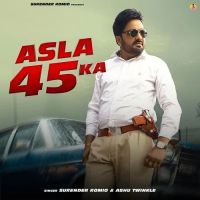 Asla 45 Ka Surender Romio, Ashu Twinkle mp3 song download, Asla 45 Ka Surender Romio, Ashu Twinkle full album