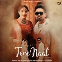 Tere Naal Nav Brar mp3 song download, Tere Naal Nav Brar full album