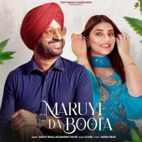 Maruye Da Boota Surjit Bhullar mp3 song download, Maruye Da Boota Surjit Bhullar full album