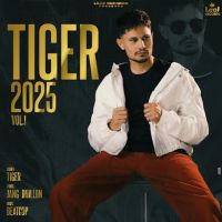 Aim Tiger mp3 song download, Tiger 2025 Vol. 1 Tiger full album