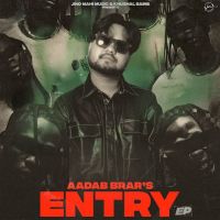 Nurse Aadab Brar mp3 song download, Entry Aadab Brar full album