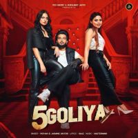 5 Goliya Pathan mp3 song download, 5 Goliya Pathan full album